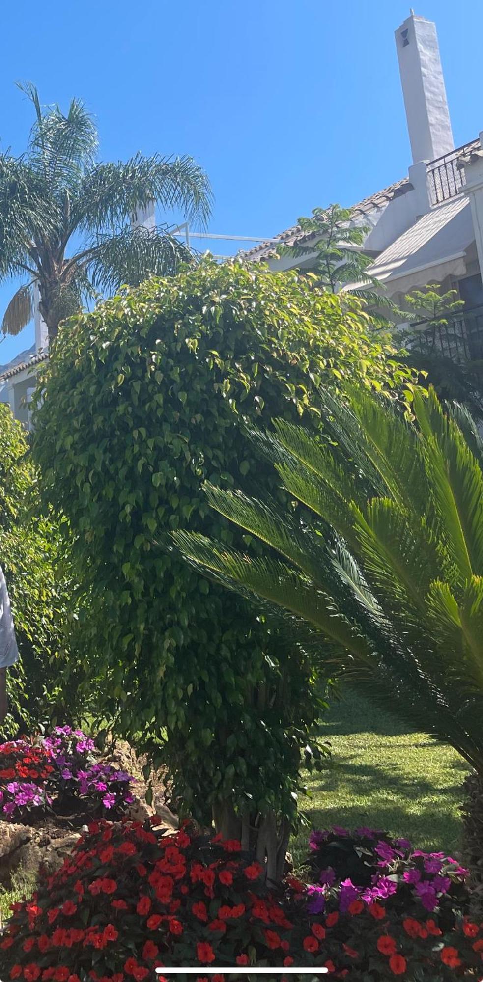 Serenity Luxury , Puerto Banus マルベーリャ エクステリア 写真